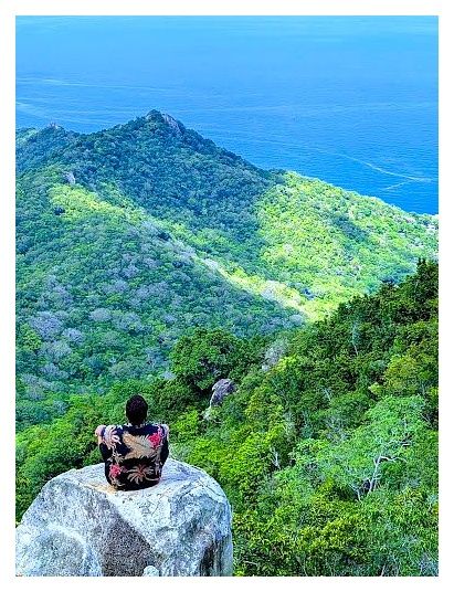 WEST COAST VIEWPOINT 이미지