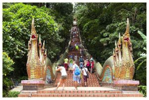 치앙마이 도이수텝 사원 완벽 가이드 엘로라의 솔직 후기 Wat Phra That Doi Suthep 태국 여행 필수 코스 이미지