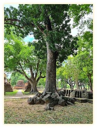 Wat Sa Si 이미지