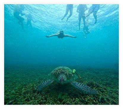 We Travel Snorkeling & Tour 이미지
