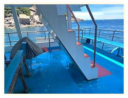 We Travel Snorkeling & Tour 이미지