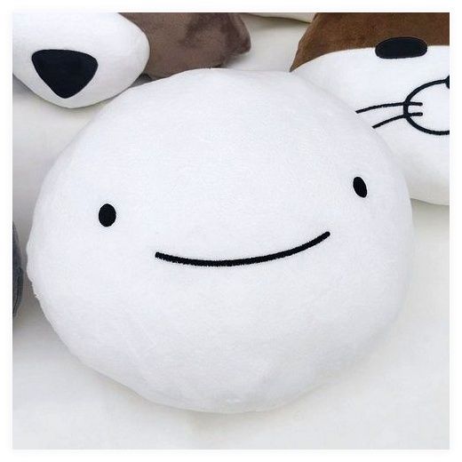 보넥도인형 아이돌 굿즈 쁘넥도 보넥도 쿠션, 김운학, 기본 구성품 이미지