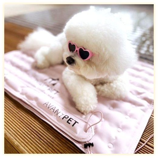 아반펫 강아지 고양이 쿨매트, 핑크, M, 1개 이미지