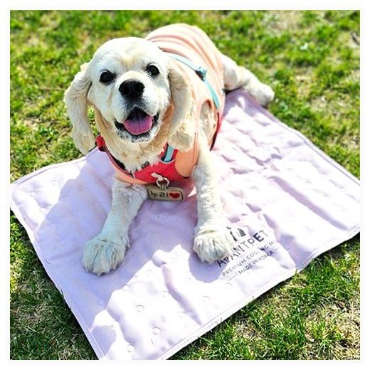 아반펫 강아지 고양이 쿨매트, 핑크, M, 1개 이미지