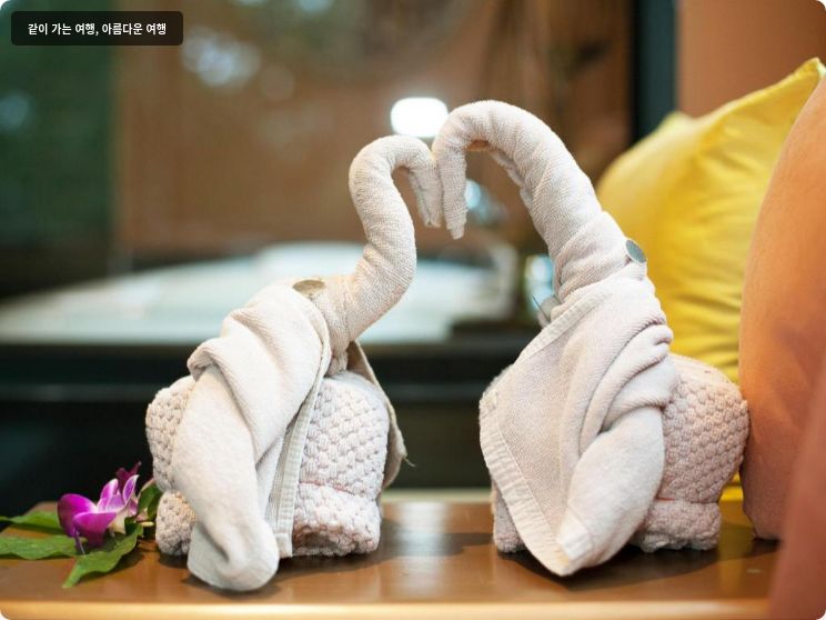 아야라 카말라 리조트 이미지