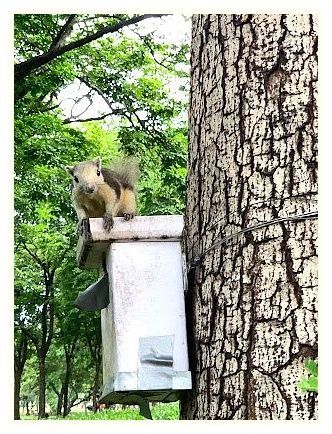 와치라벤짜탓 공원 이미지