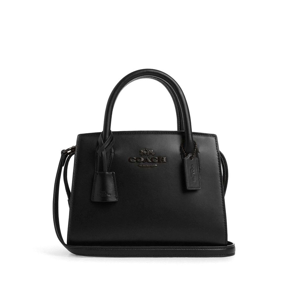 코치 Andrea Carryall Bag 이미지