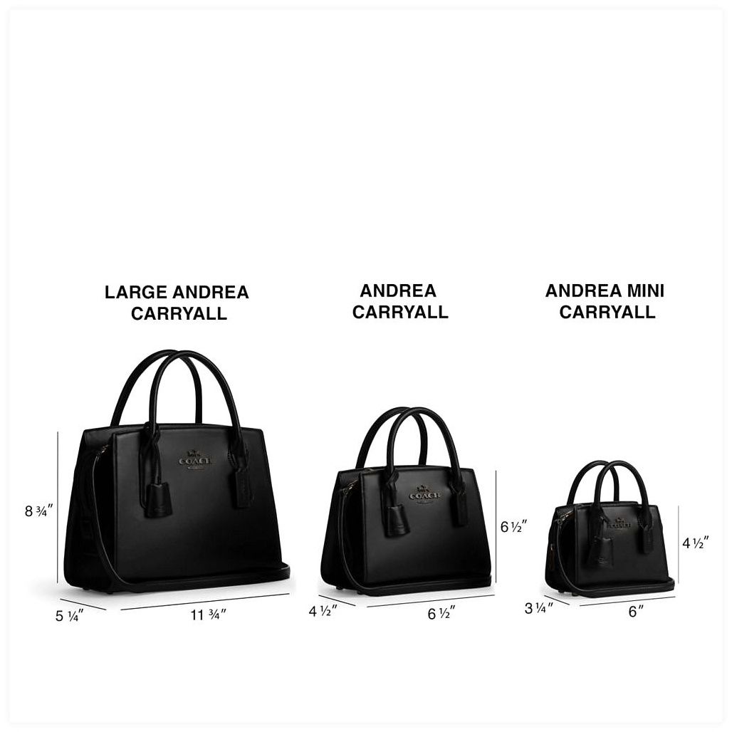 코치 Andrea Carryall Bag 이미지