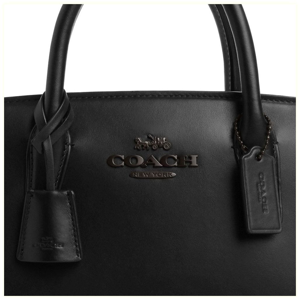 코치 Andrea Carryall Bag 이미지