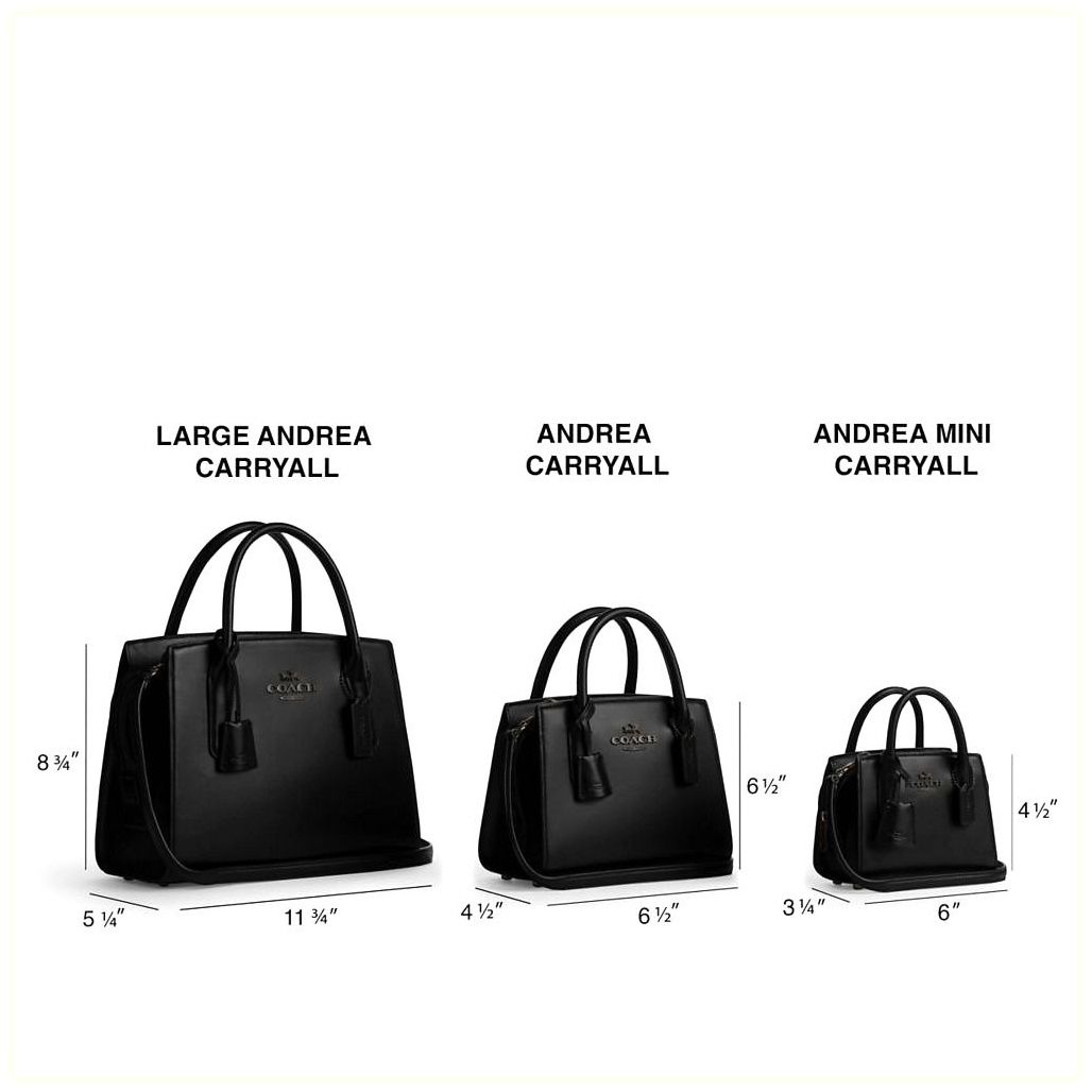 코치 Andrea Carryall Bag 이미지