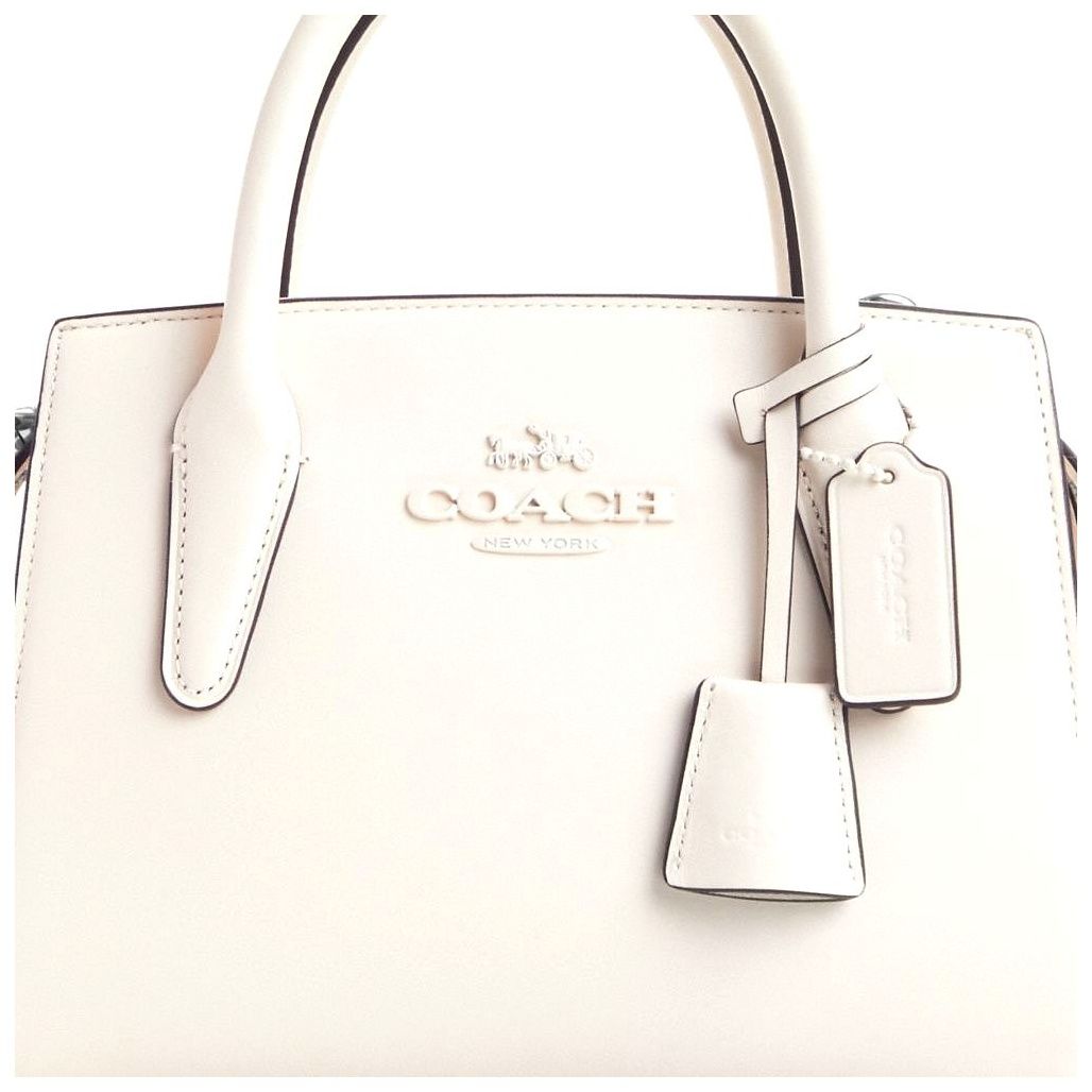 코치 Andrea Carryall Bag 이미지