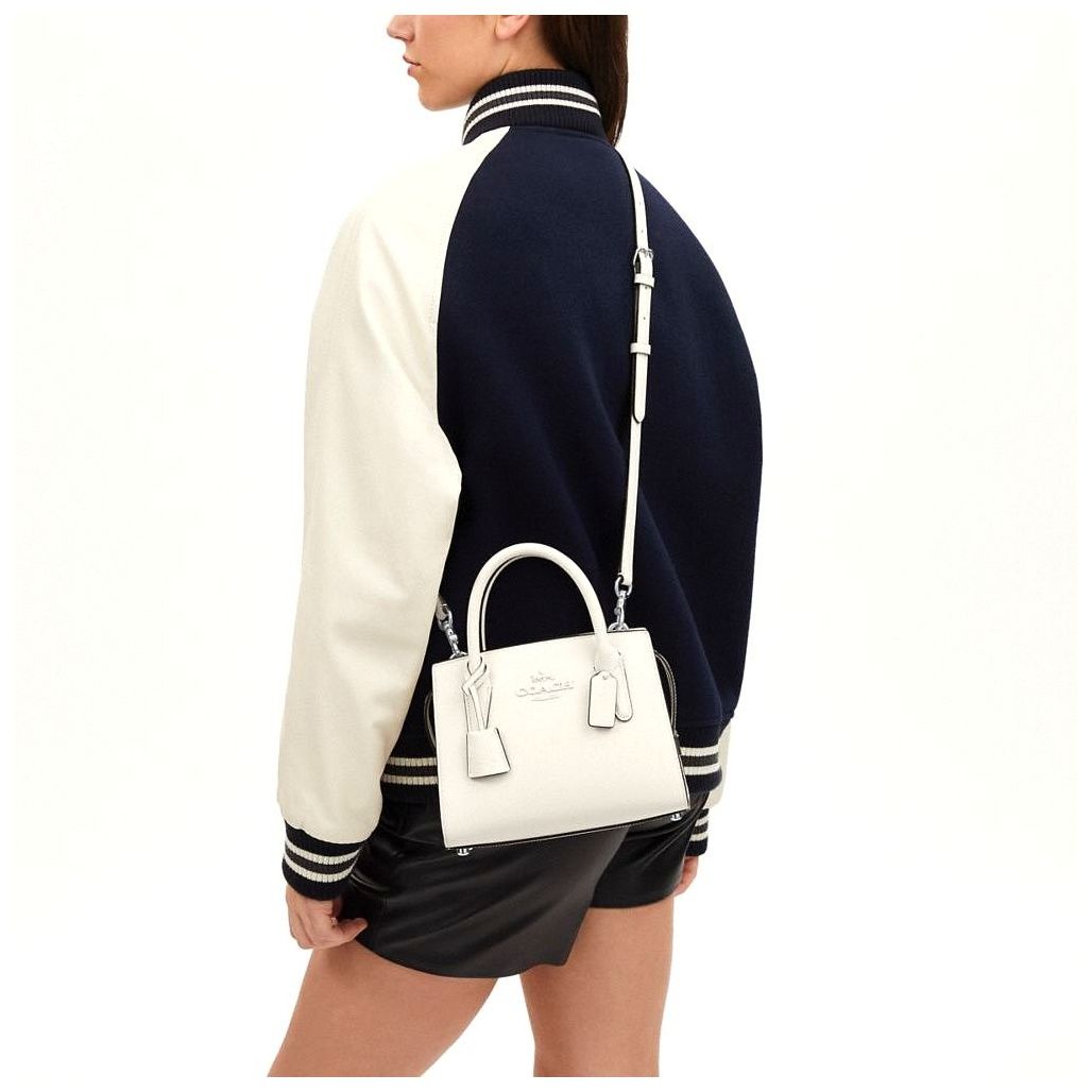 코치 Andrea Carryall Bag 이미지