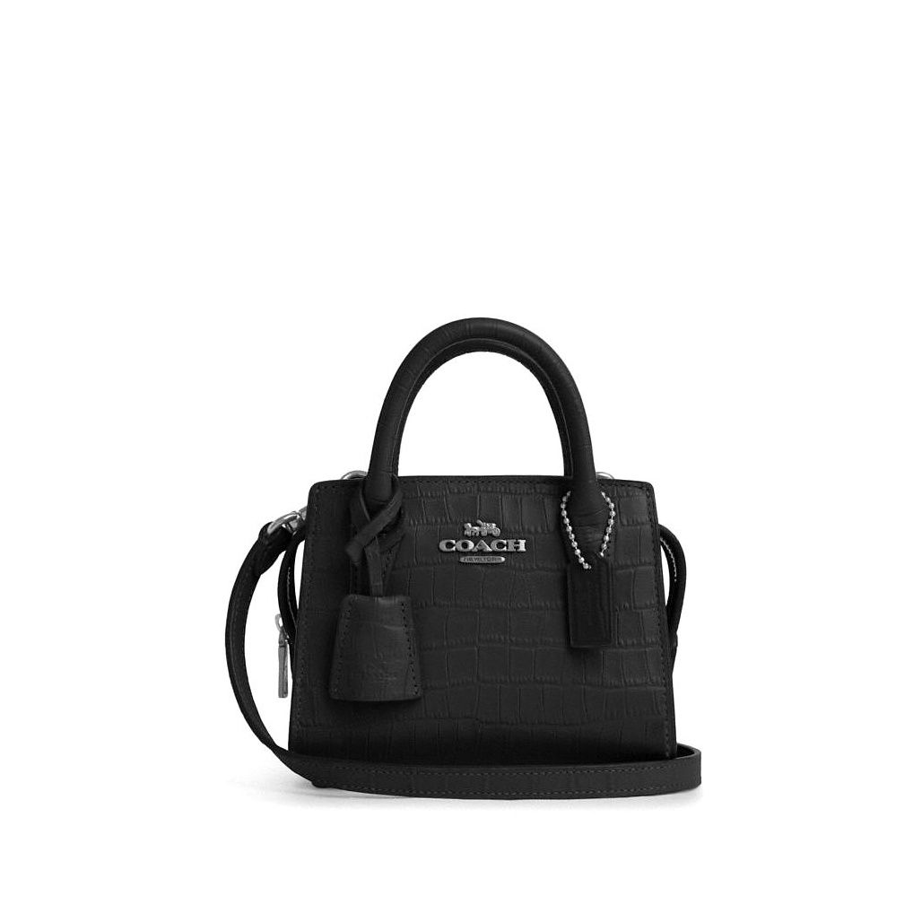 코치 Andrea Mini Carryall Bag 이미지