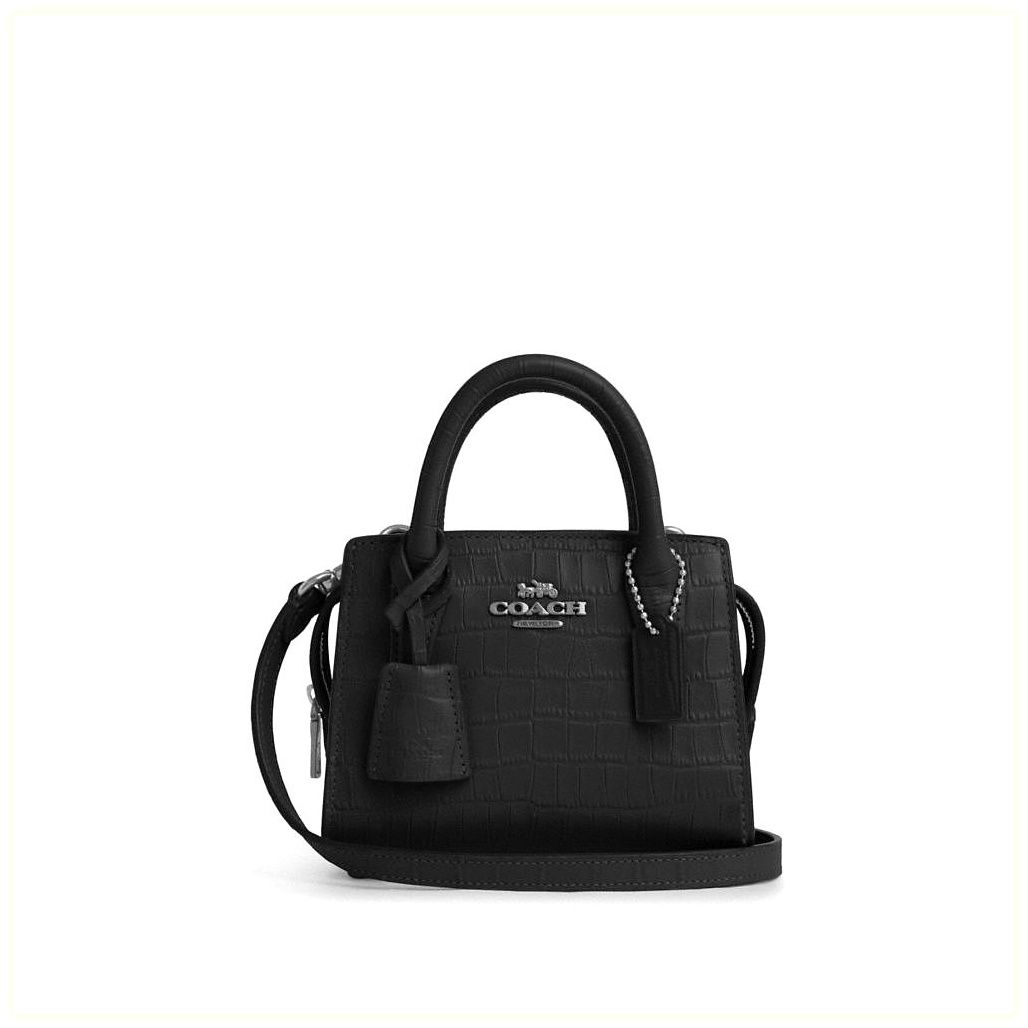 코치 Andrea Mini Carryall Bag 이미지
