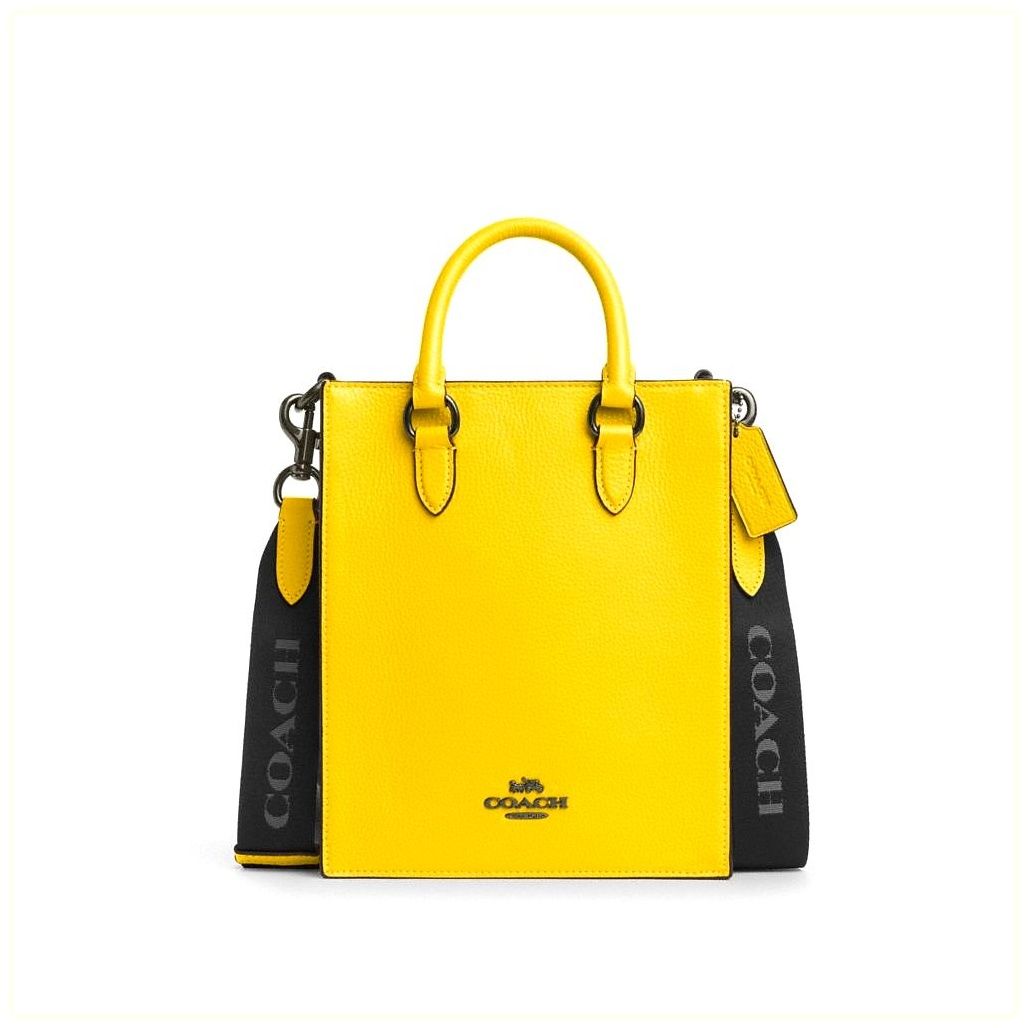 코치 Dylan Tote Bag 이미지
