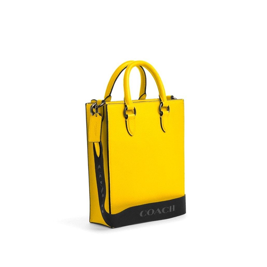 코치 Dylan Tote Bag 이미지