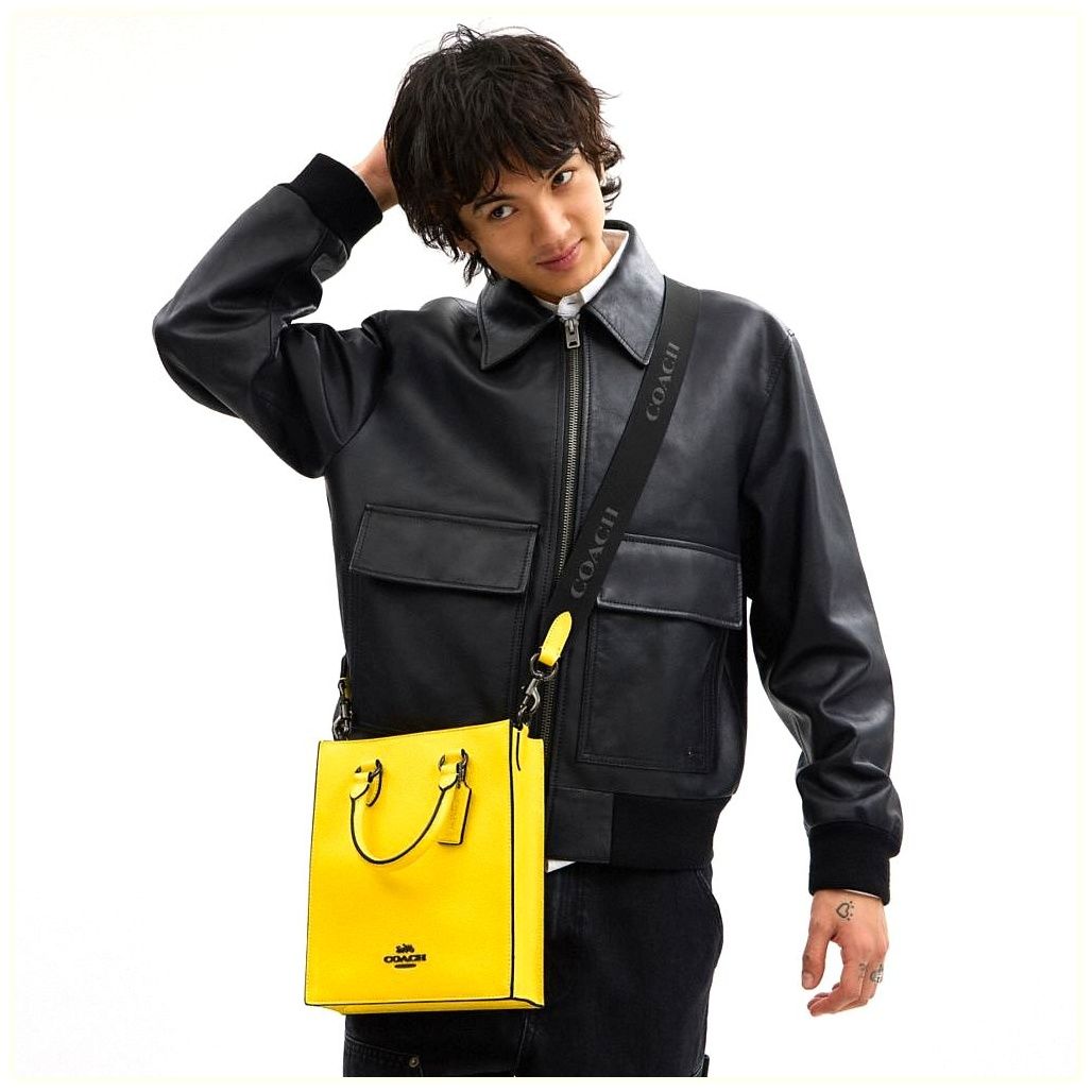 코치 Dylan Tote Bag 이미지