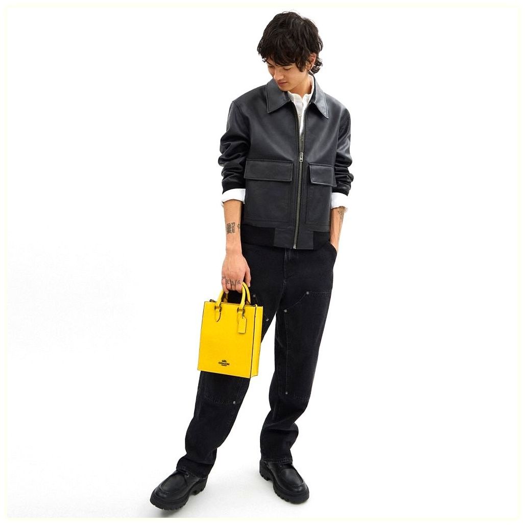 코치 Dylan Tote Bag 이미지