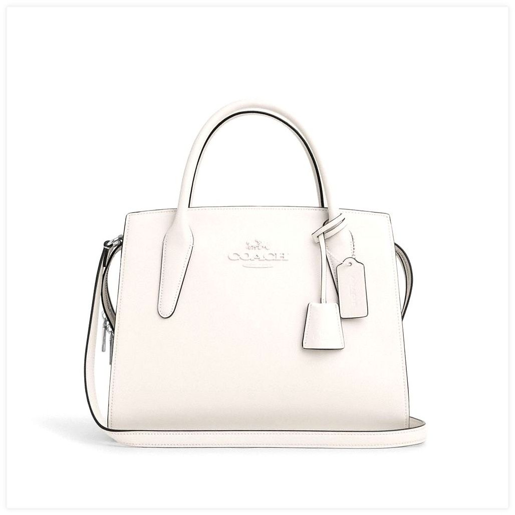 코치 Large Andrea Carryall Bag 이미지