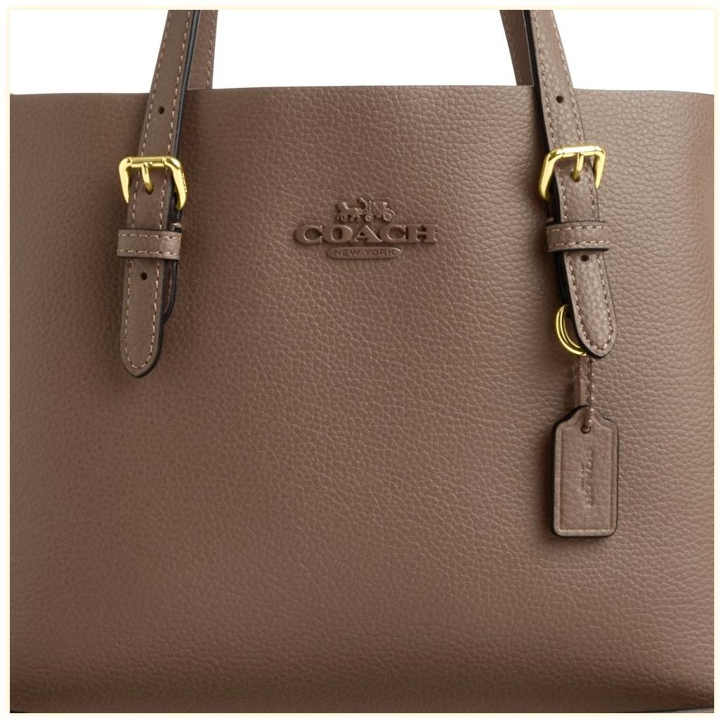 코치 Mollie Tote Bag 25 이미지