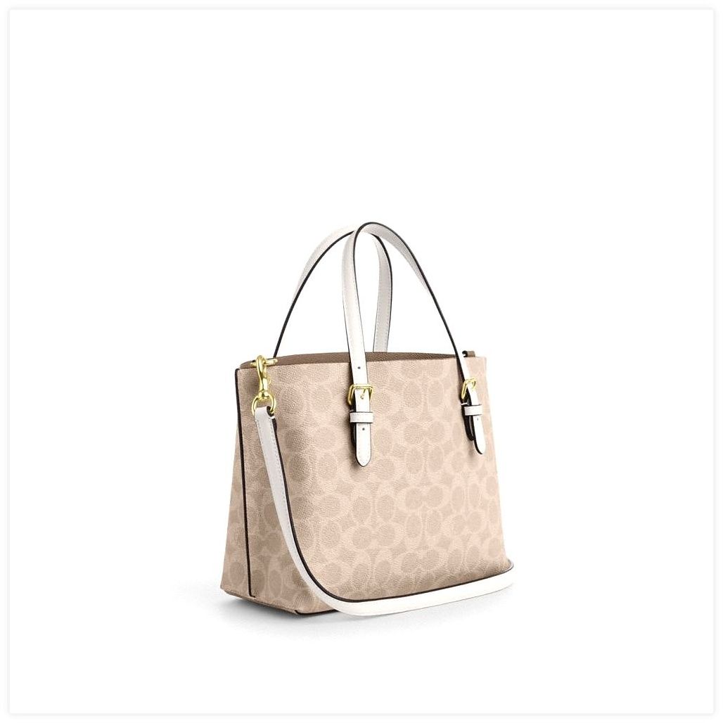 코치 Mollie Tote Bag 25 In Signature Canvas 이미지