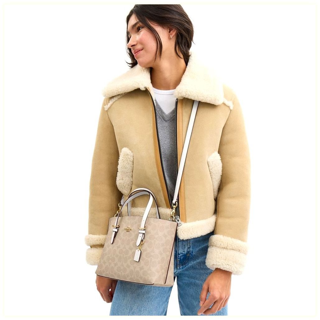 코치 Mollie Tote Bag 25 In Signature Canvas 이미지