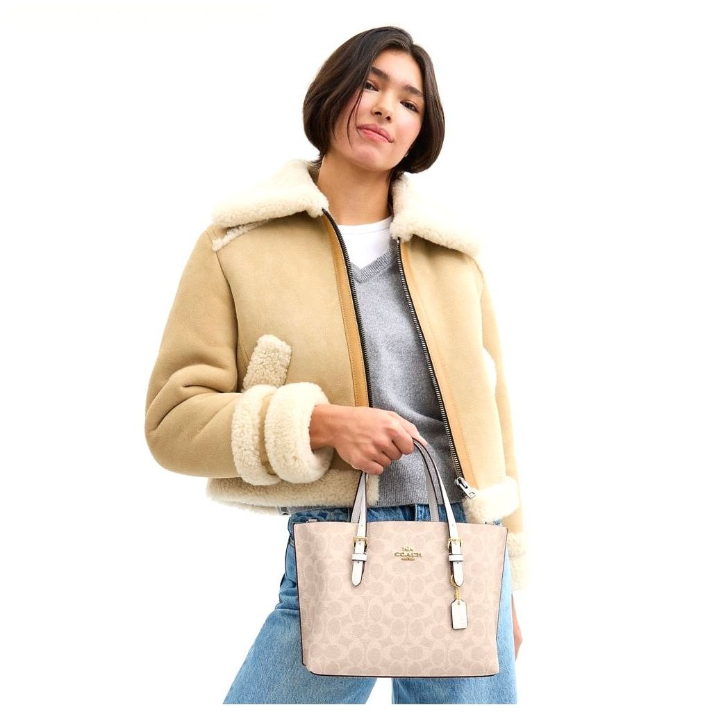 코치 Mollie Tote Bag 25 In Signature Canvas 이미지