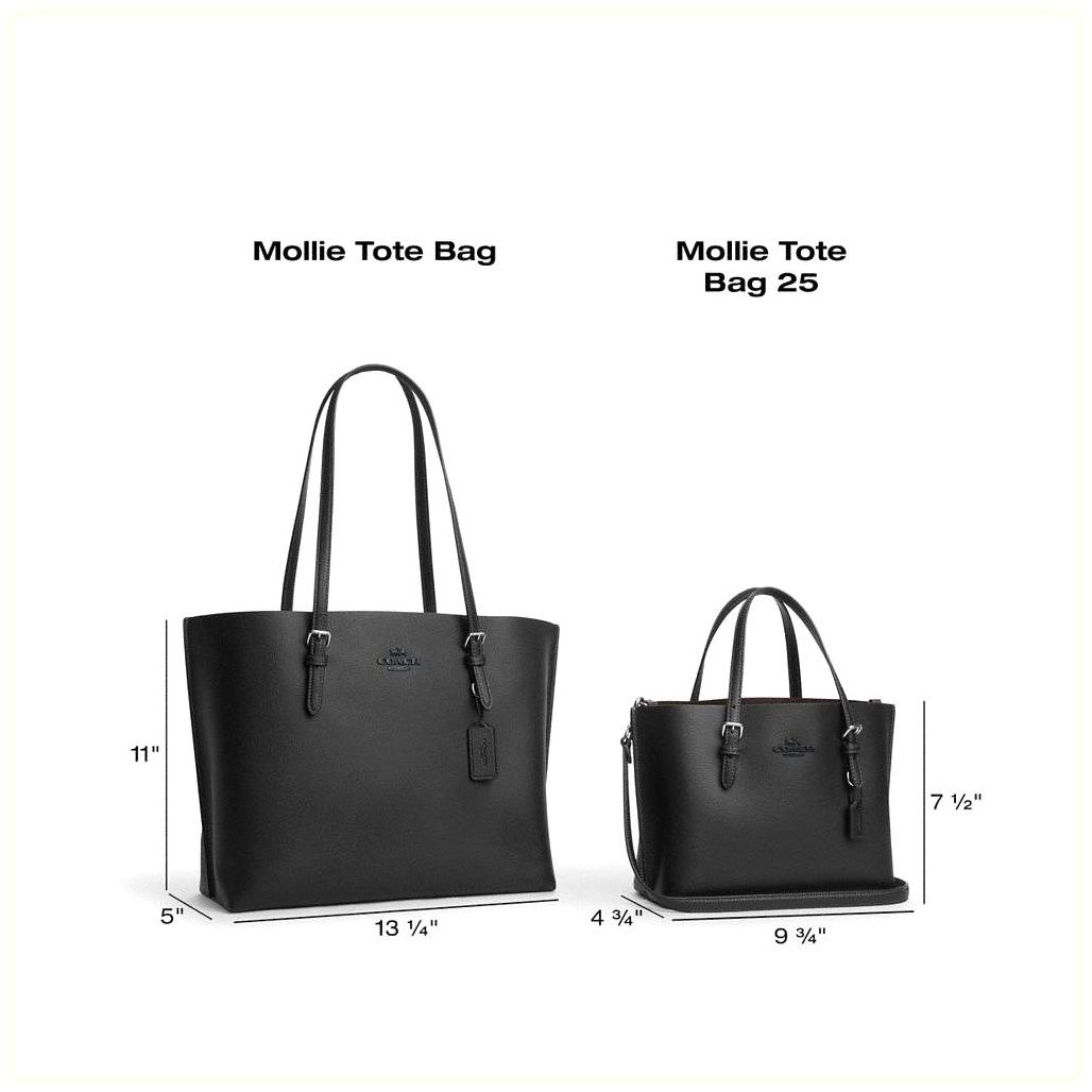 코치 Mollie Tote Bag In Signature Canvas 이미지