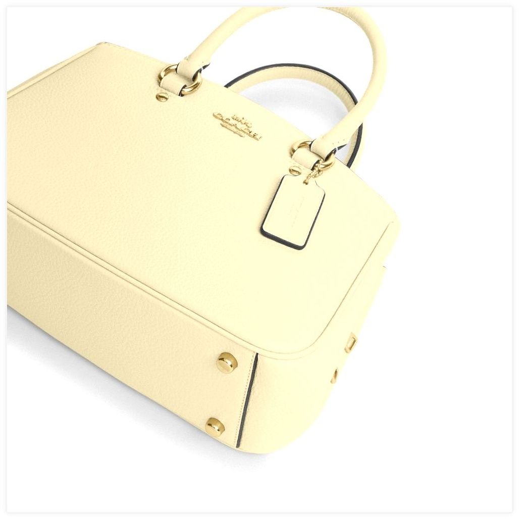 코치 Savannah Small Carryall Bag 이미지