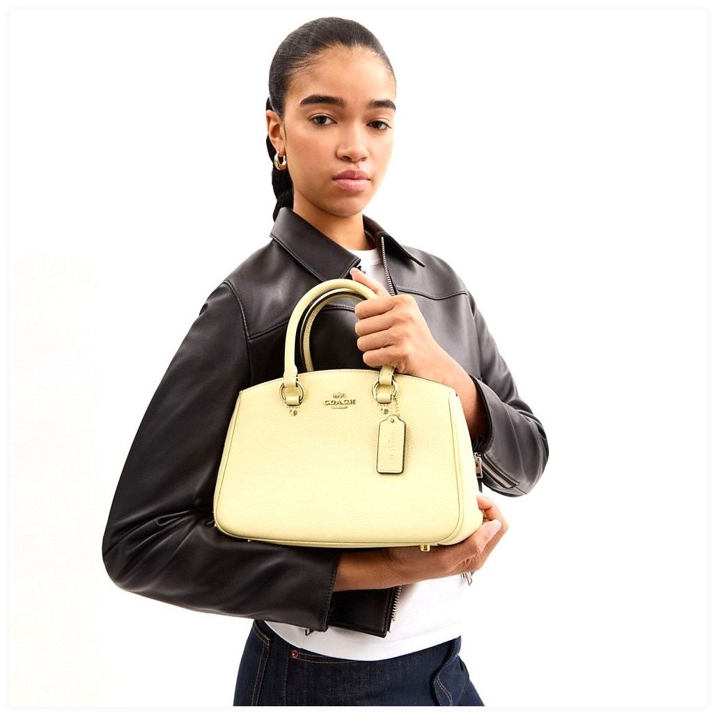 코치 Savannah Small Carryall Bag 이미지