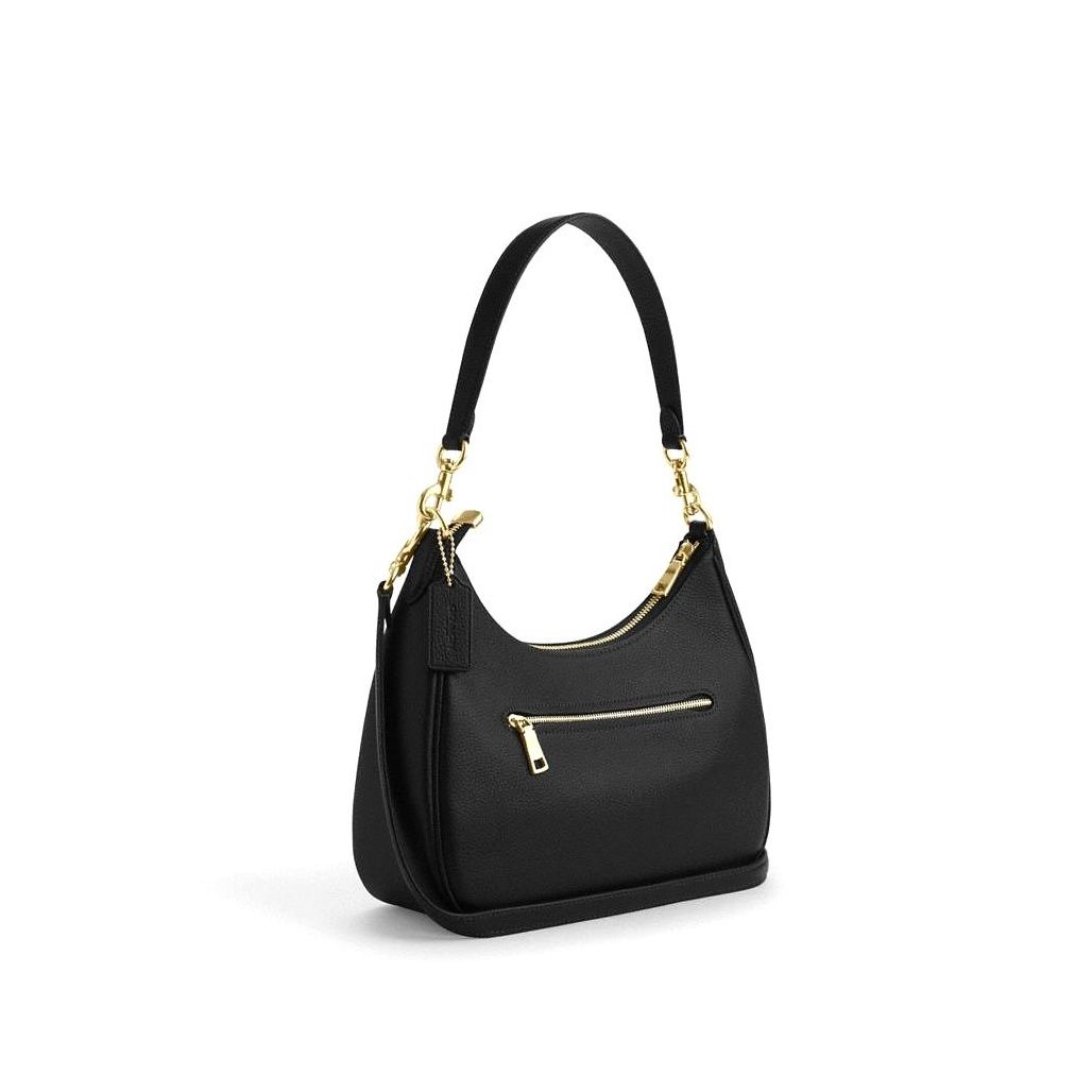 코치 Teri Hobo Bag 이미지