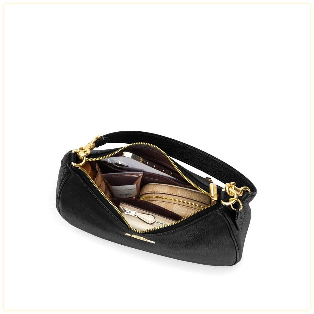 코치 Teri Hobo Bag 이미지