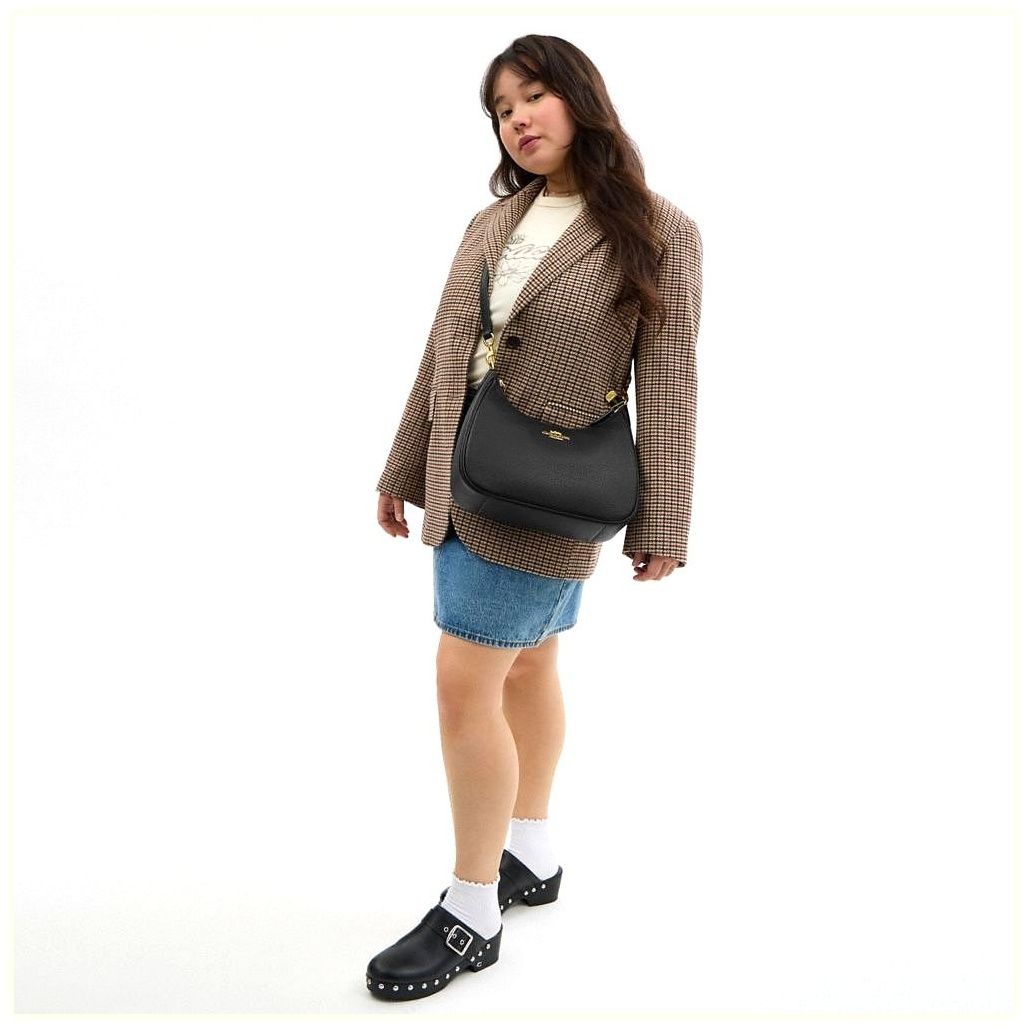 코치 Teri Hobo Bag 이미지