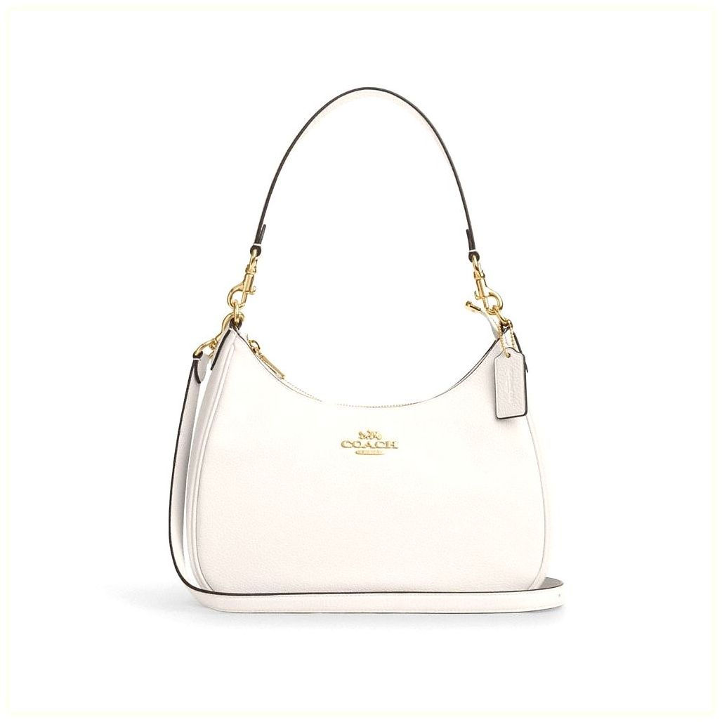 코치 Teri Hobo Bag 이미지