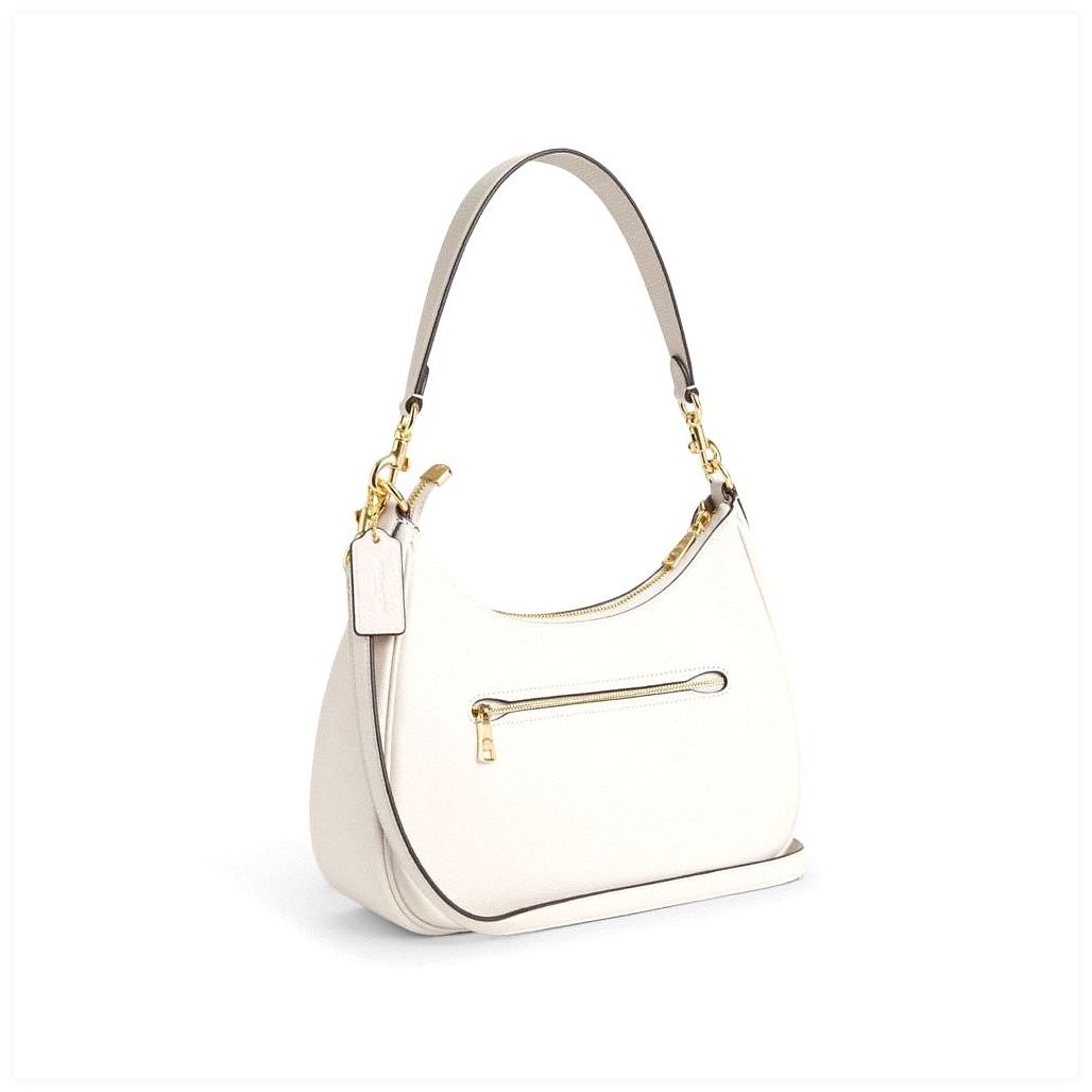 코치 Teri Hobo Bag 이미지