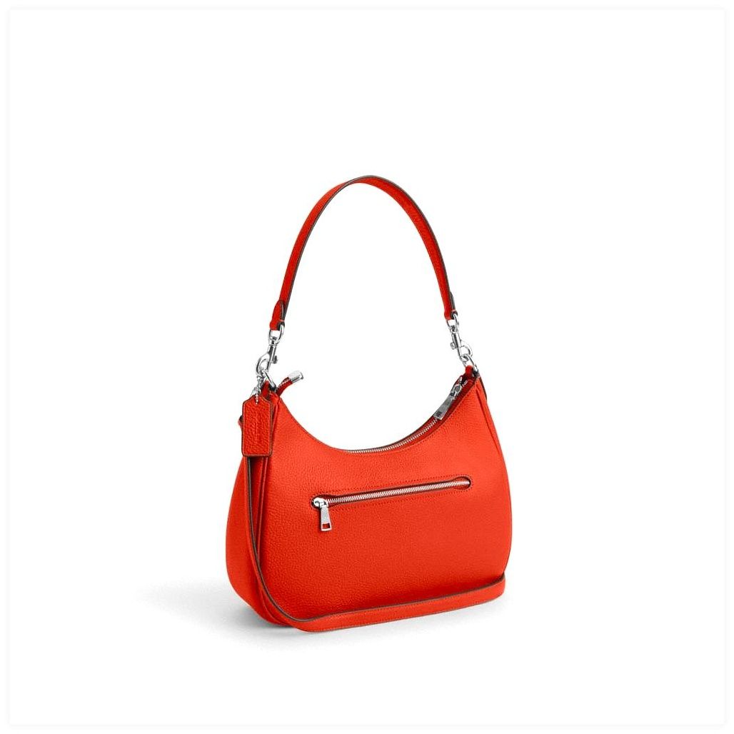 코치 Teri Hobo Bag 이미지