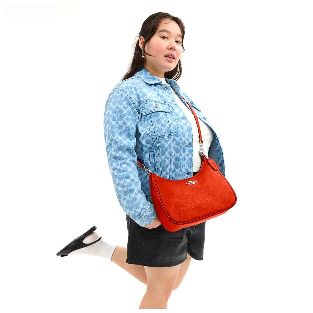 코치 Teri Hobo Bag 이미지