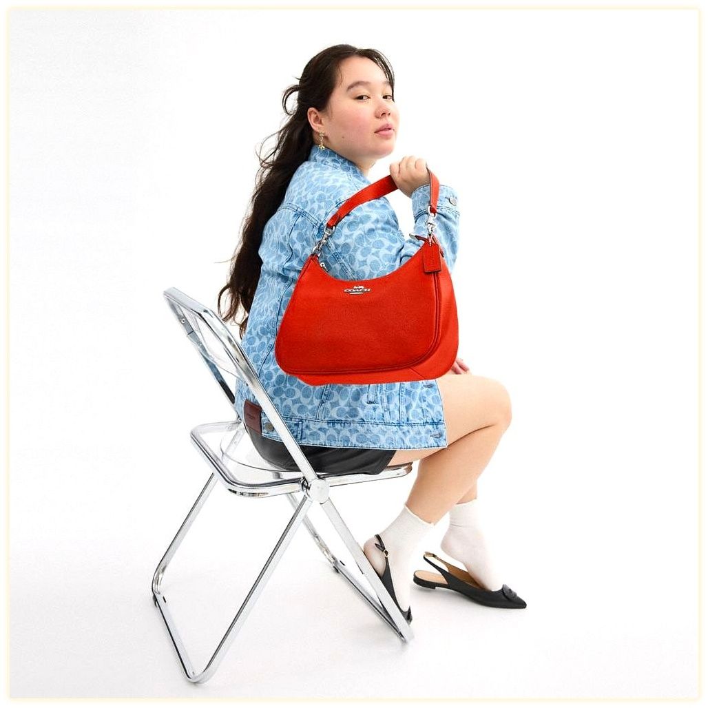 코치 Teri Hobo Bag 이미지