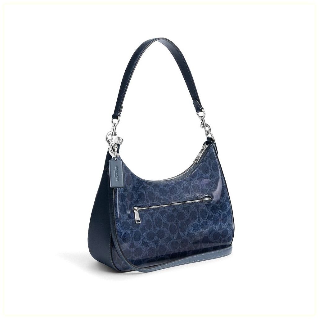코치 Teri Hobo Bag In Signature Canvas 이미지
