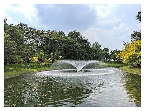 퀸시리킷 공원 이미지