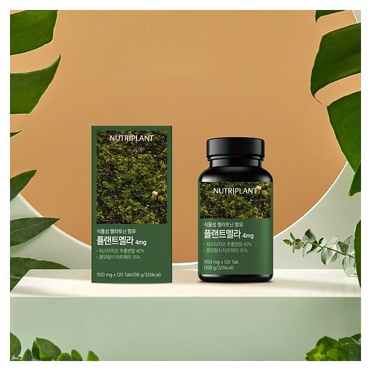 플랜트멜라 식물성 멜라토닌 1정당 4mg 함유 식약청인증 뉴트리플랜트, 120정, 1개 이미지