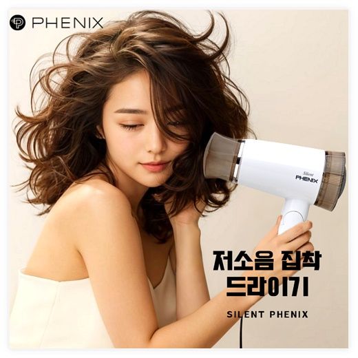 피닉스 가정용 접이식 저소음 드라이기 PD-1200 1200W, PD-1200, (new)화이트 이미지