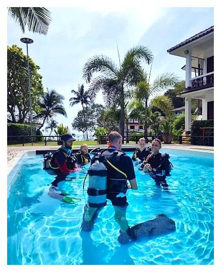 Assava Diving Koh Tao | PADI 5* CDC Scuba Diving Centre & Hotel Beach Resort, Thailand 이미지