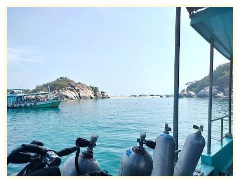 French Kiss Divers - Koh Tao 이미지
