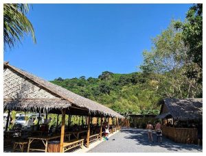 푸켓 Green Elephant Sanctuary Park 방문 후기 코끼리와 교감하는 특별한 경험 평점 4.9의 감동 후기 젊은 여성 블로거 엘로라의 생생한 리뷰 이미지
