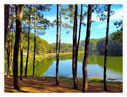 Pang Tong Royal Forest Park Project 2 (Pang Oung) 이미지