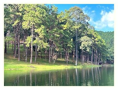 Pang Tong Royal Forest Park Project 2 (Pang Oung) 이미지