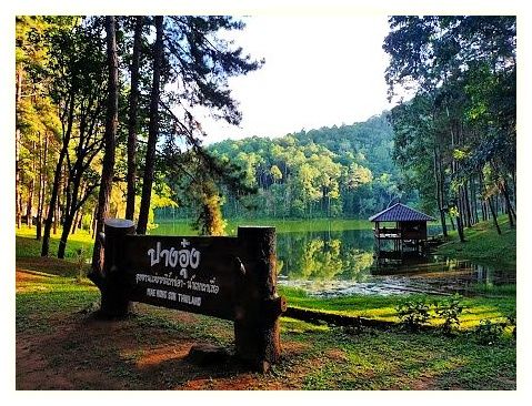 Pang Tong Royal Forest Park Project 2 (Pang Oung) 이미지