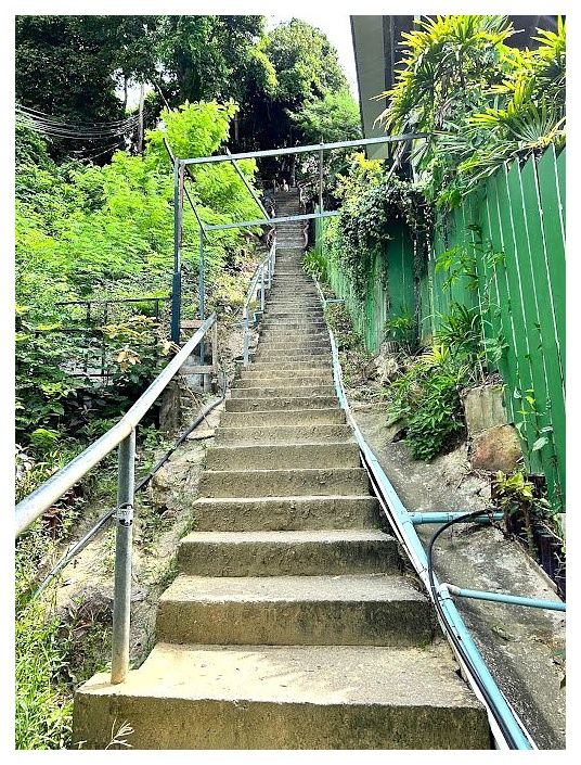 Phi Phi Viewpoint 3 이미지