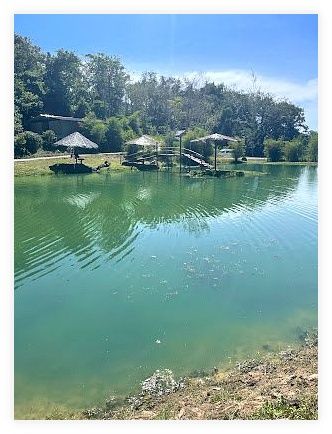 Phuket Elephant Care 이미지